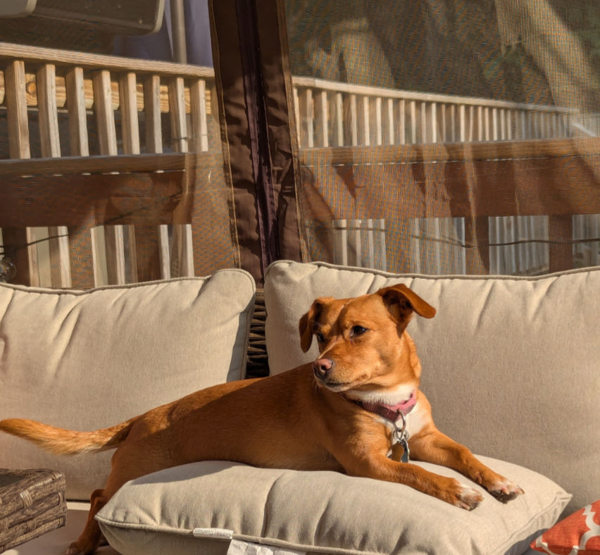 Addie - FKA (Paisley) - 2021