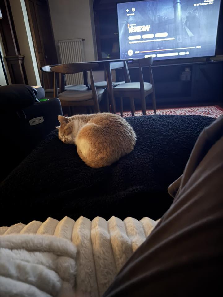 Bella - FKA (Delia) - 2021