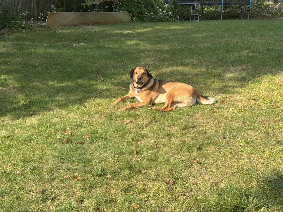 Bodie - FKA (Kameron) - 2023