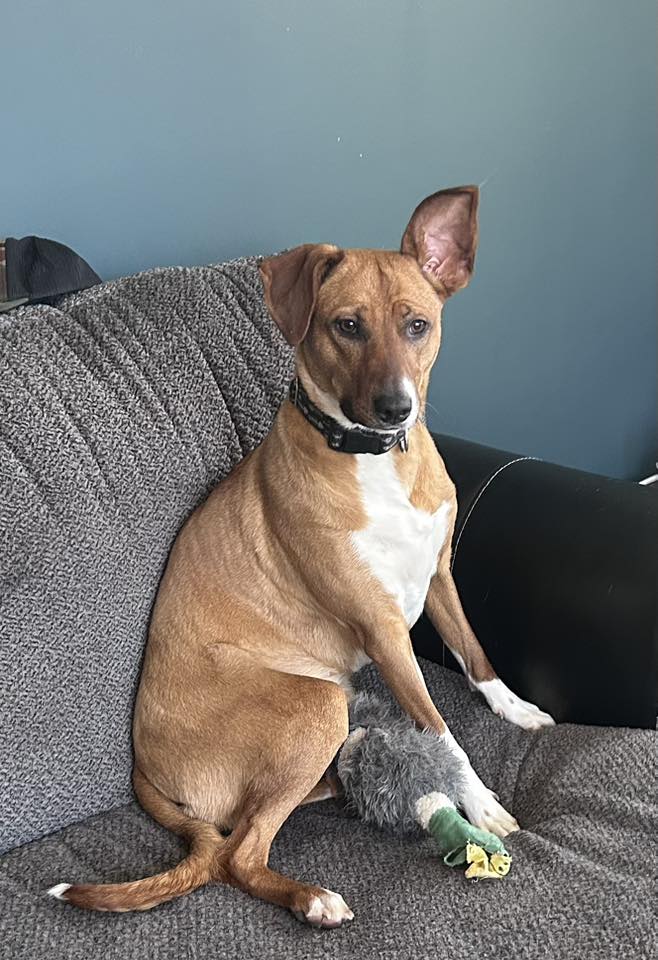 Chloe - FKA (Charlotte) - 2022