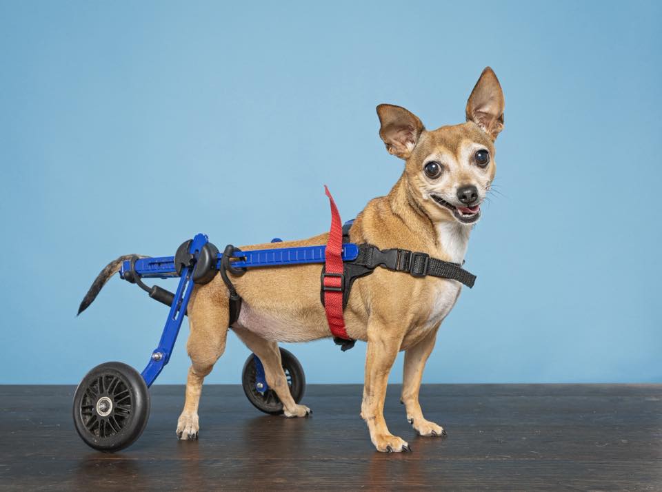 Coco - FKA (Lena) - 2021