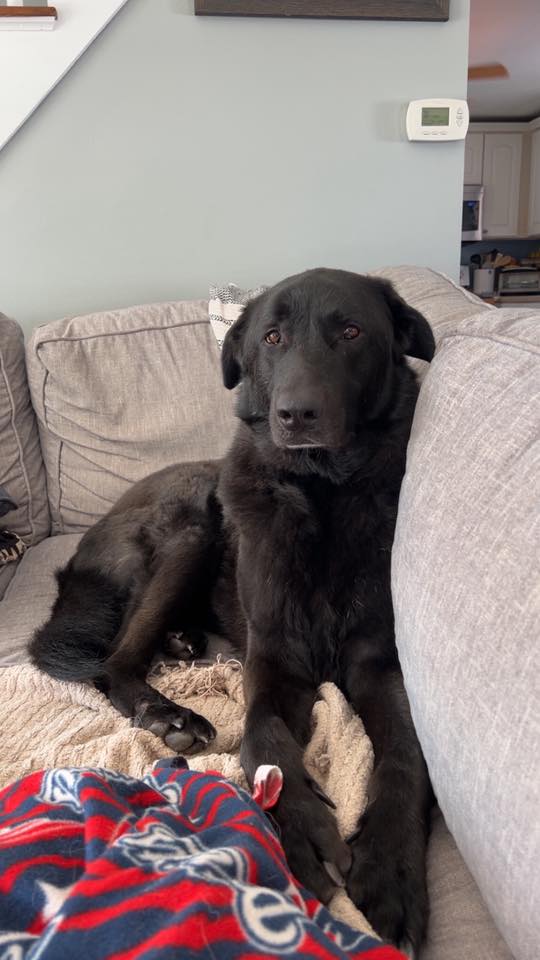 Duke! - FKA (Sampson) - 2021