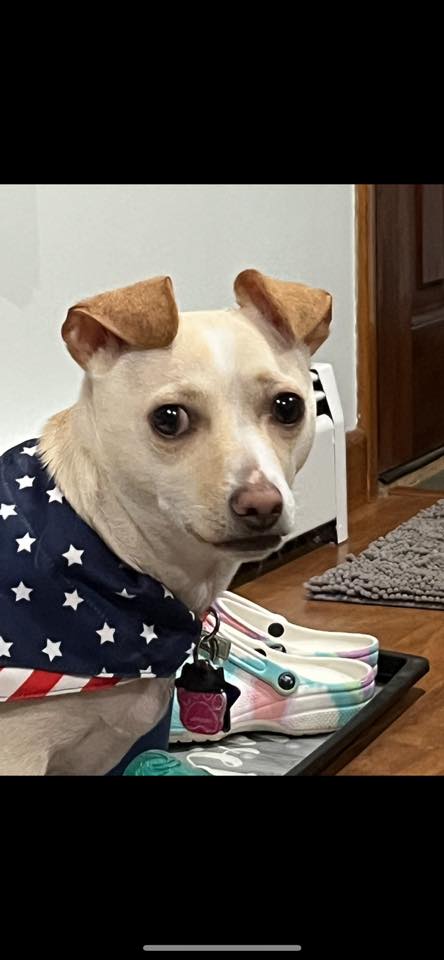 Duncan - FKA (Pooh) - 2021