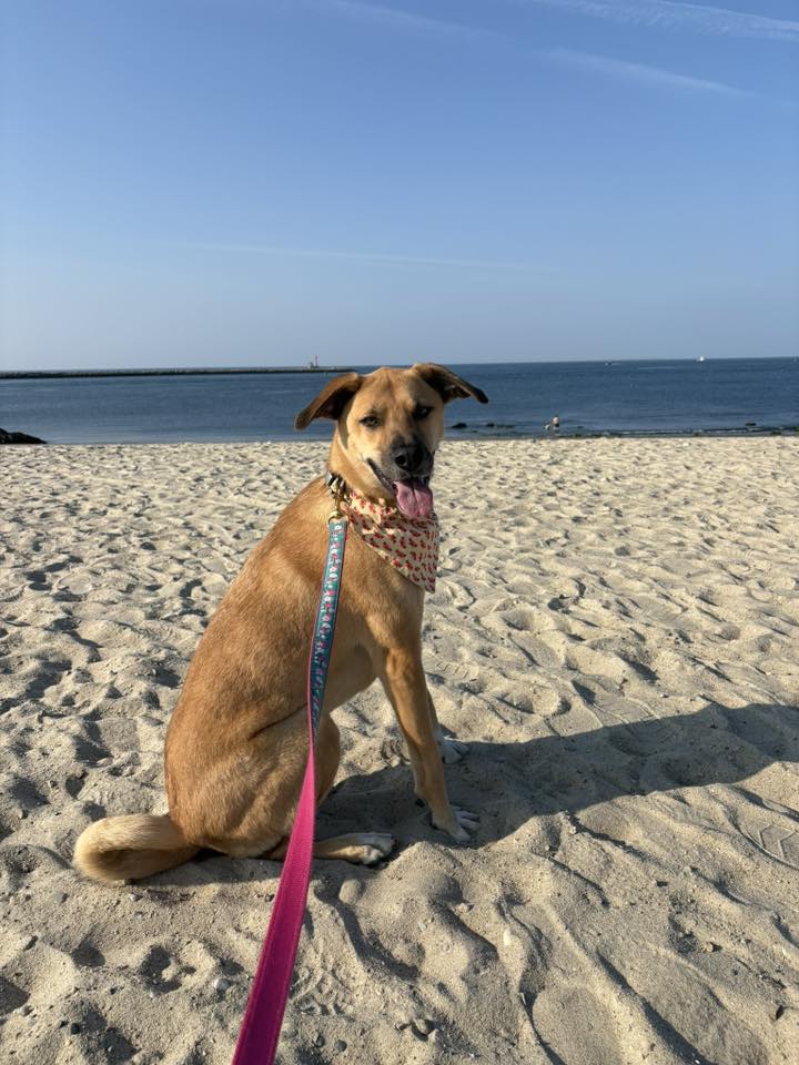 Ellie - FKA (Kai From The K) - 2023