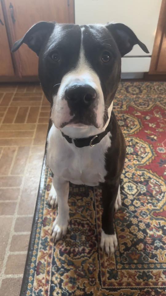 Gus - FKA (Jax) - 2023