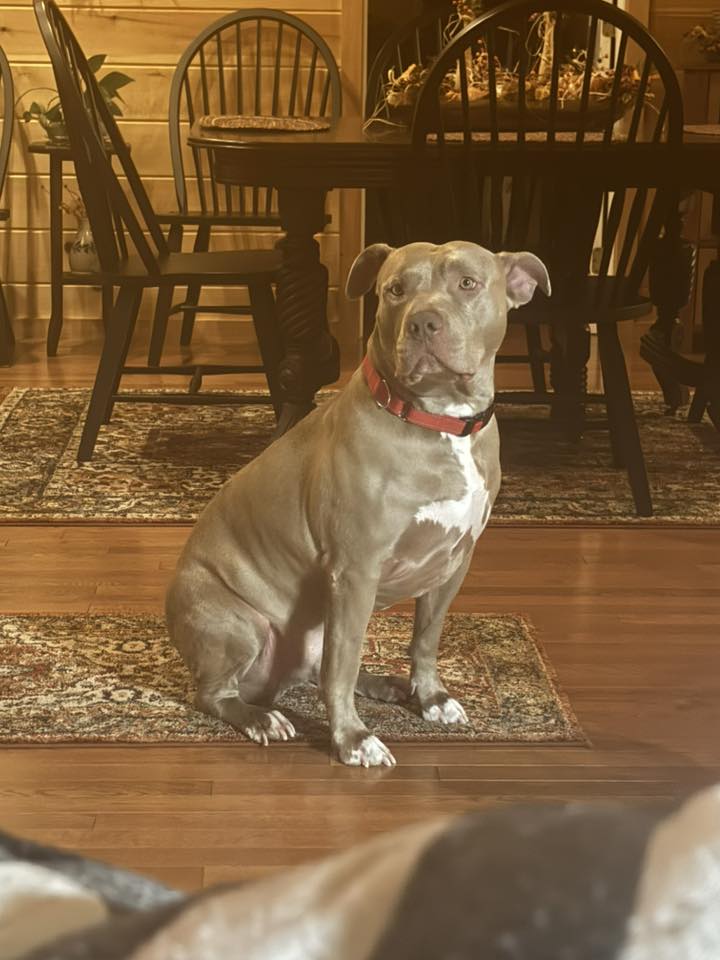 Gus - FKA (Vegas) - 2022