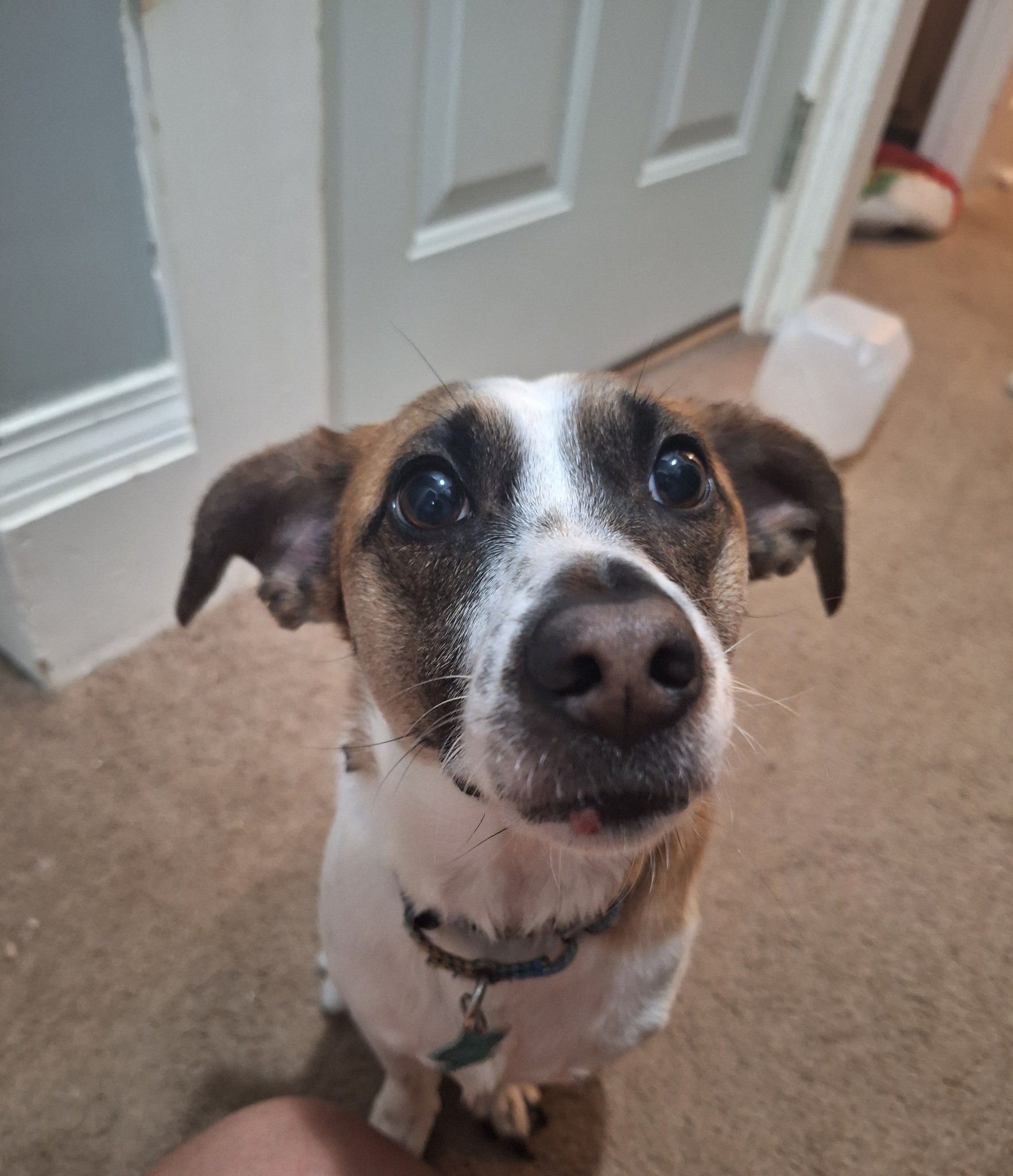 Handsome Jack - FKA (Lafayette)