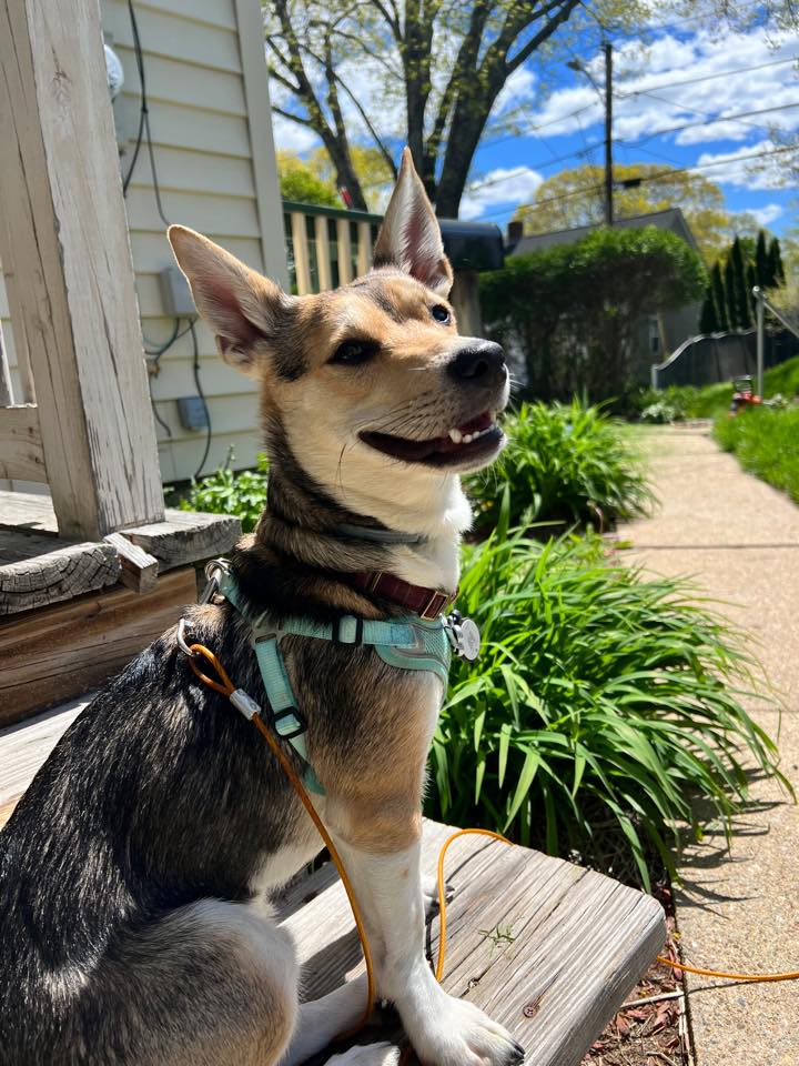 Huey - FKA (Roger) - 2022