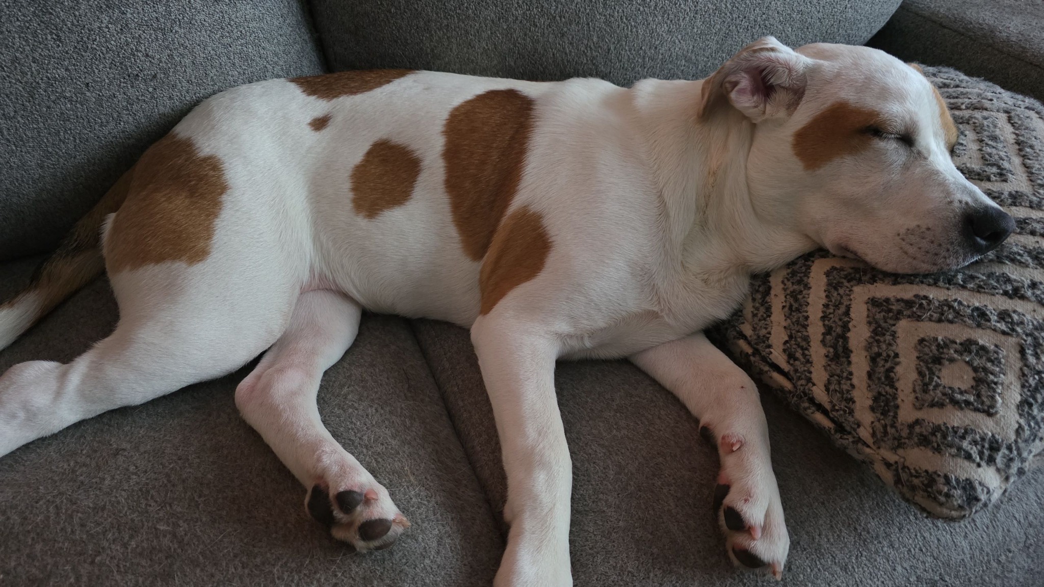 Isla - FKA (Kathy) - 2025