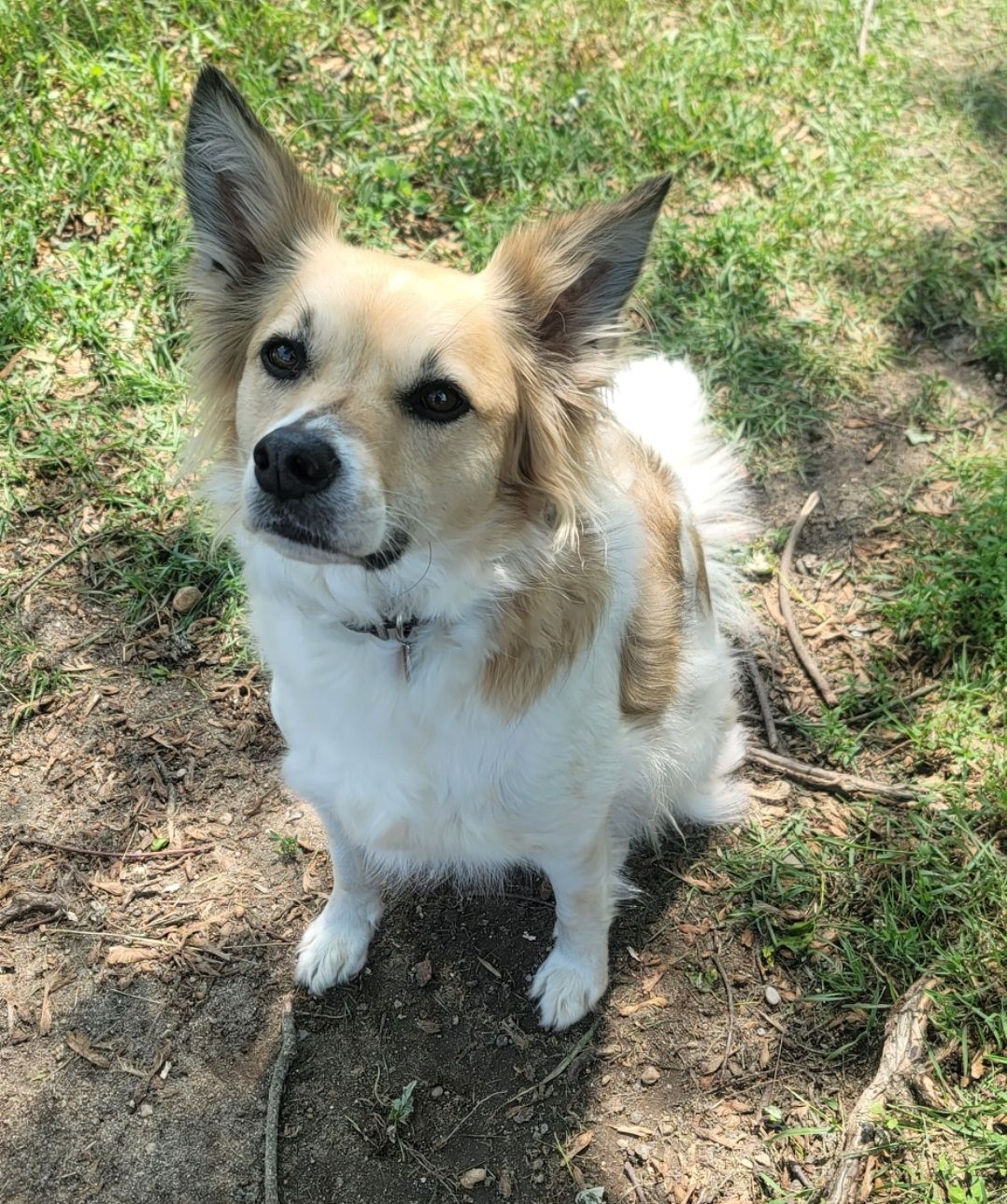 Lady - FKA (Sunshine) - 2020