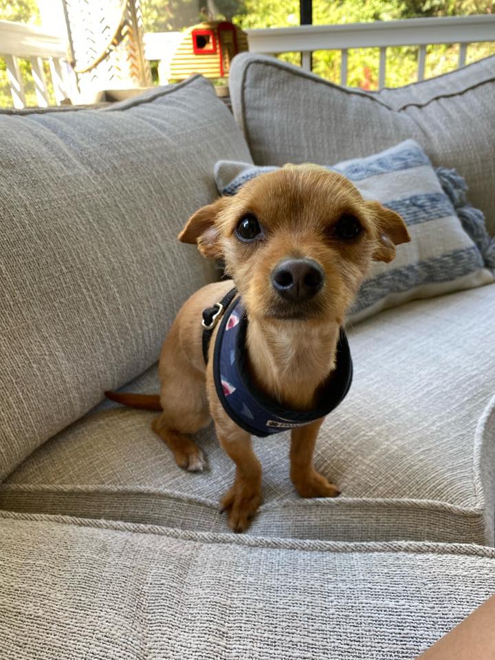 Leonard - FKA (Tripp)