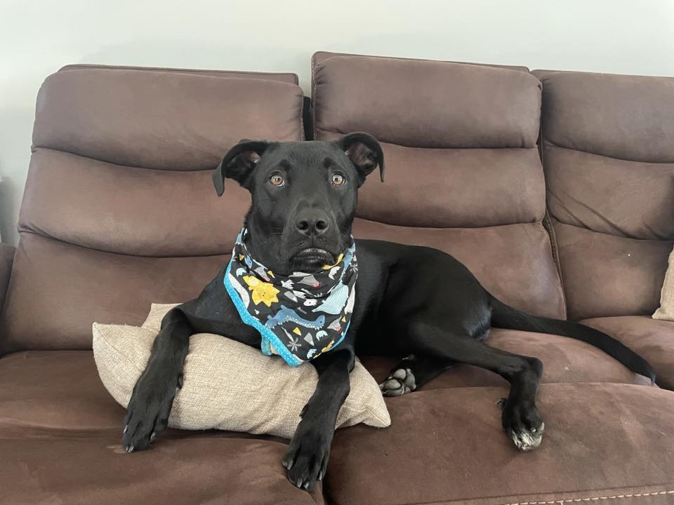 Loki - FKA (Lucky) - 2020