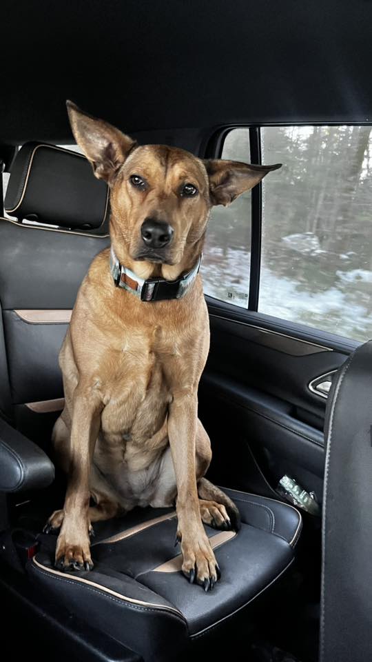 Maisey - FKA (Courtney) - 2021