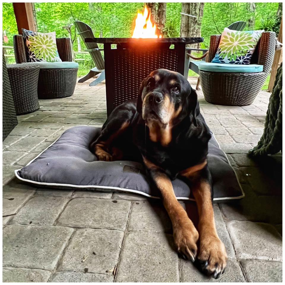 Maisy - FKA (Zinzi) - 2021