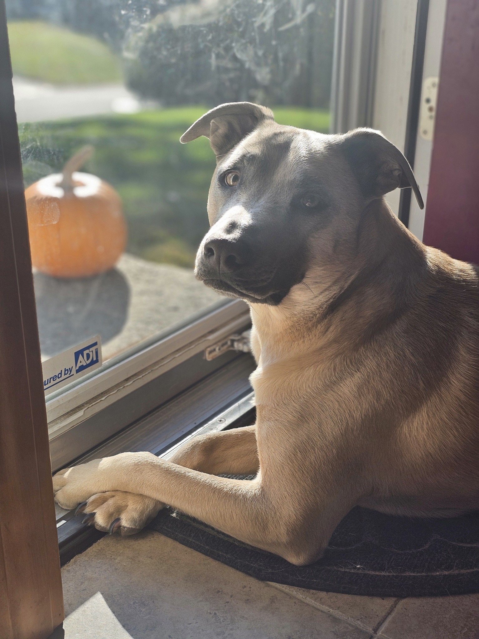 Major - FKA (Popcorn) - 2022