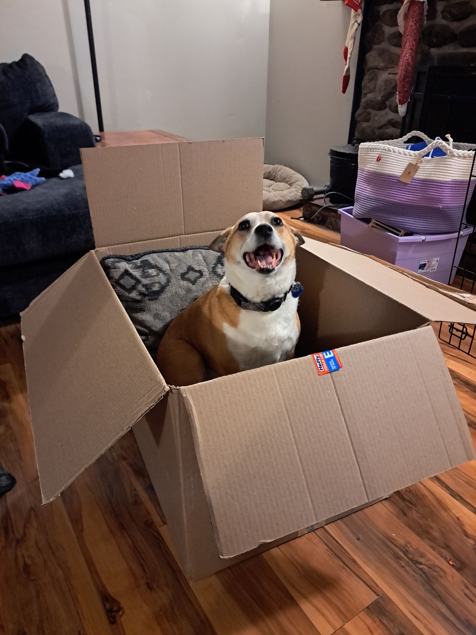 Maple - FKA (Mel C) - 2022