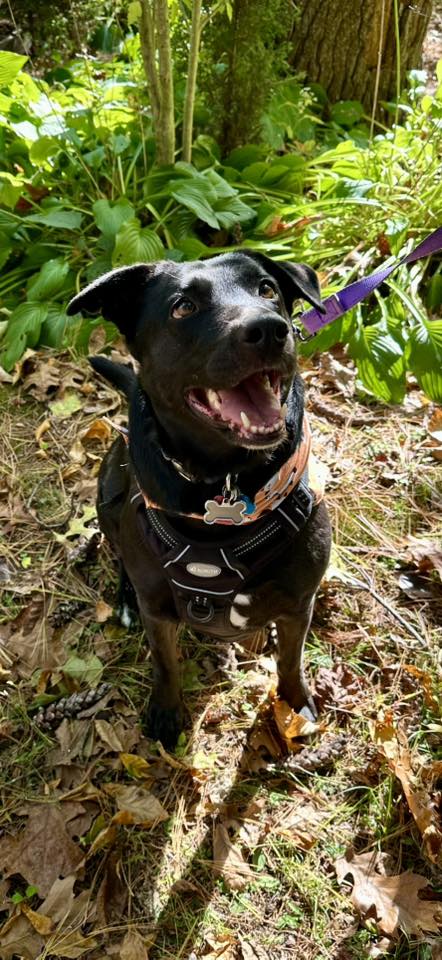 Marvel - FKA (Stitch) - 2020