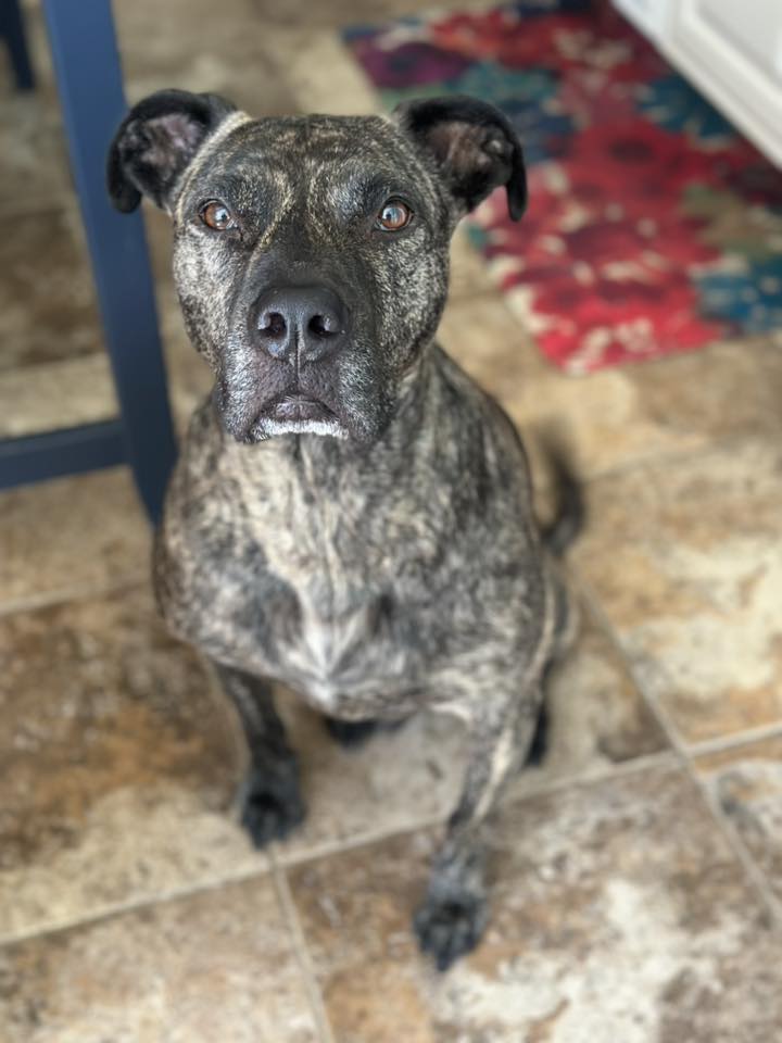 Maximus - FKA (Spike) - 2020