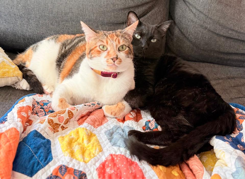 Olivia & Cooper - FKA (Verdene & Loaded Baked Potato) - 2023