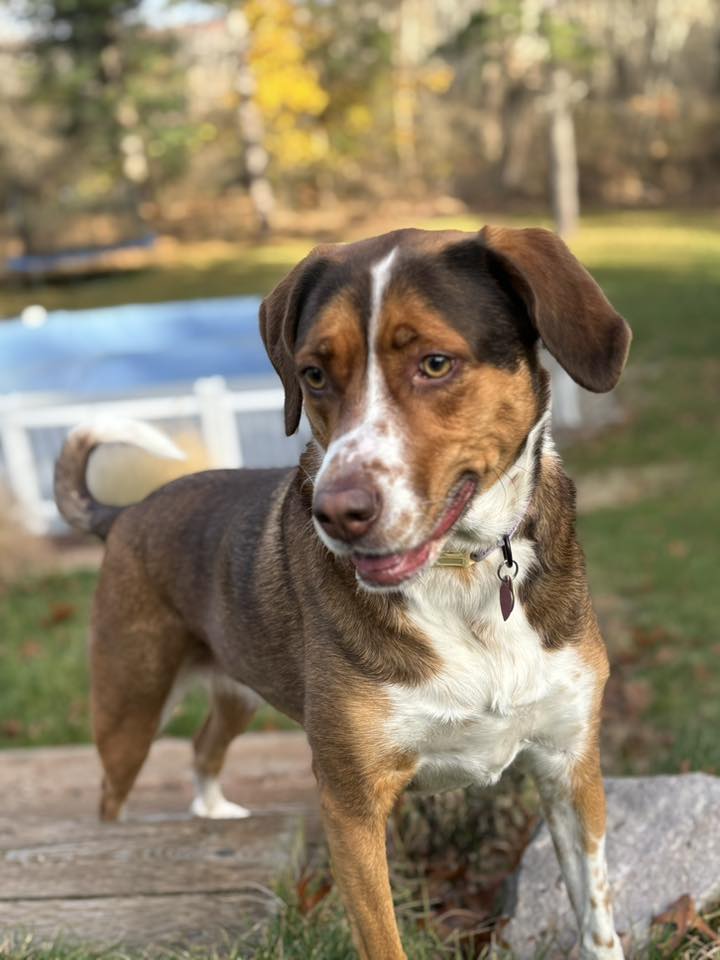 Reilly - FKA (Dodge) - 2021