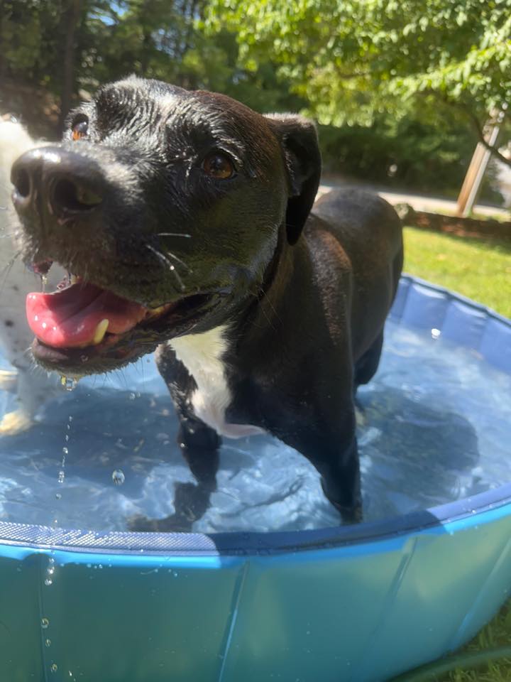 Riley - FKA (Lee) - 2021