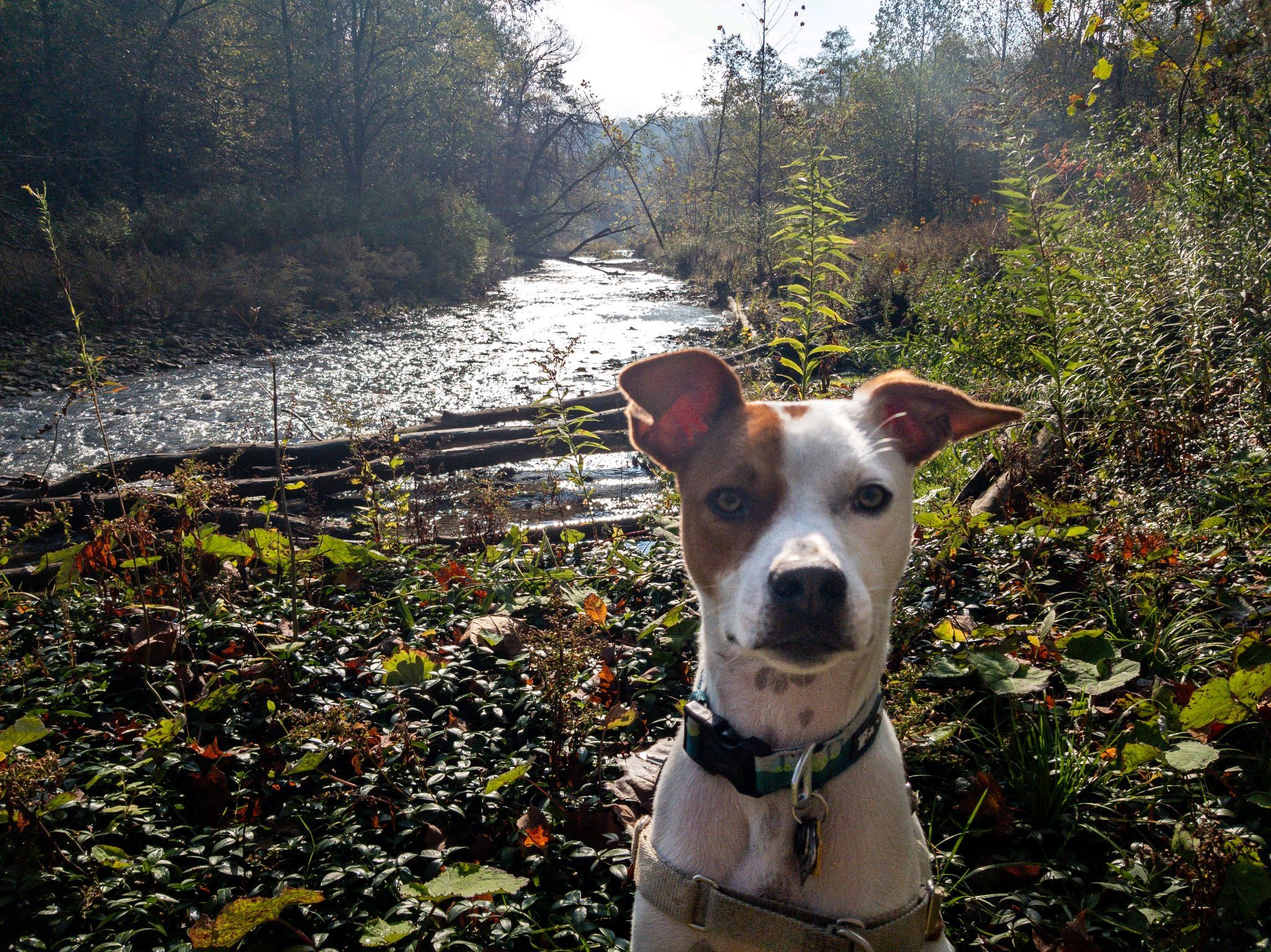 Ryzen - FKA (Owen) - 2020