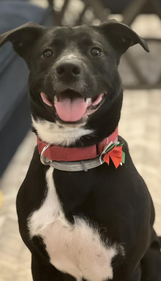 Sadie - FKA (Kobe) - 2021