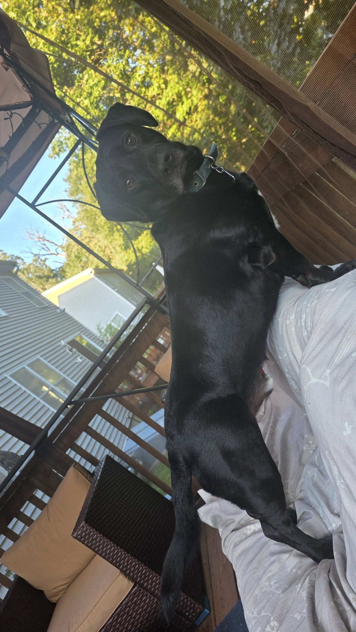 Shadow - FKA (Chance)