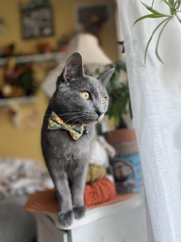 Smudge - FKA (Aladdin) - 2024