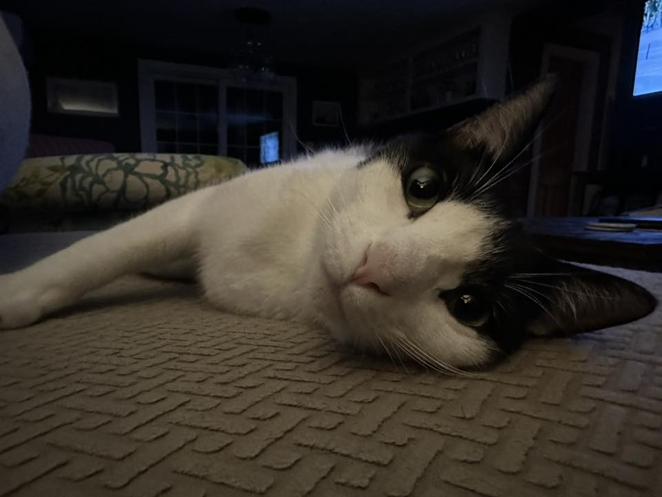 Stanley Tucci - 2023