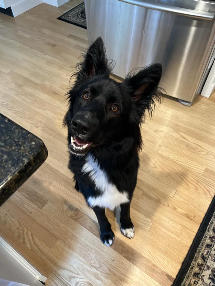 Zuko - FKA (Freddie Mercury) - 2022