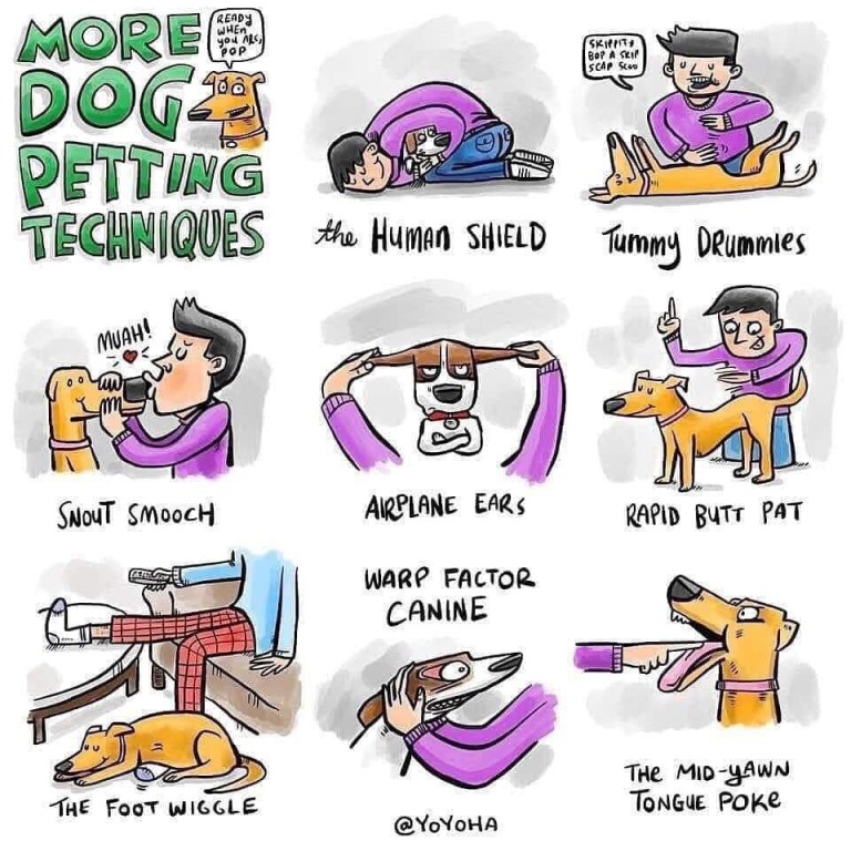 More dog petting techniques
