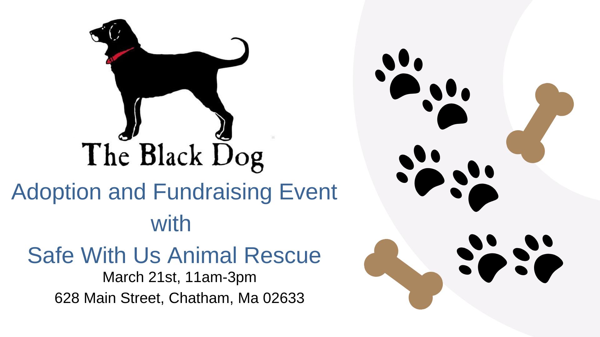 Black Dog Chatham – Safe With Us Animal Rescue