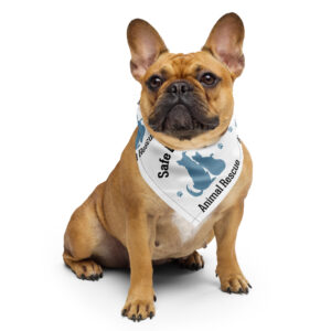 Safe With Us color - All-over print bandana