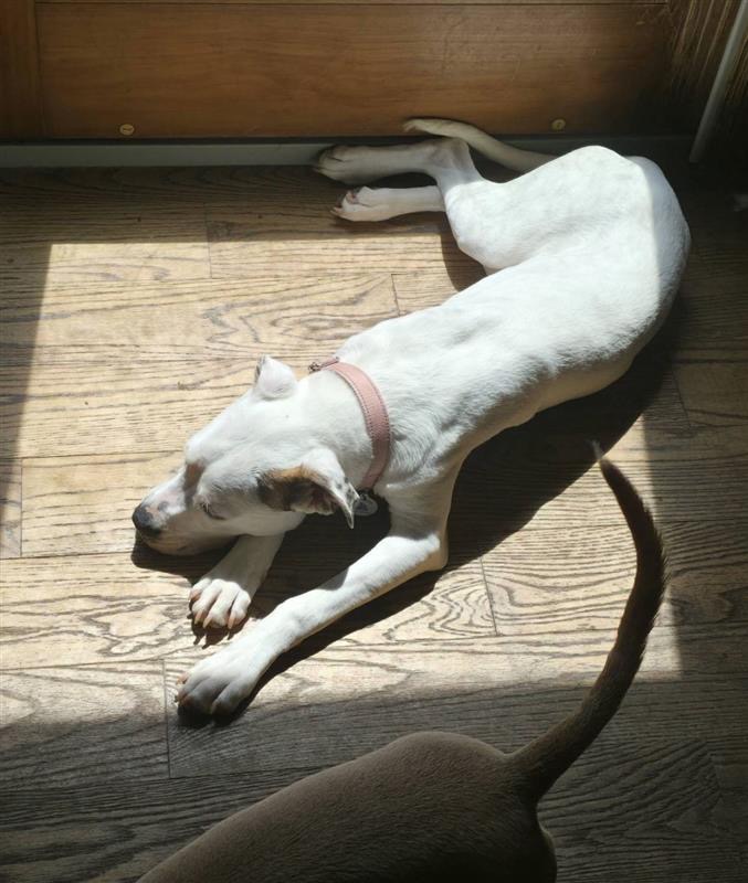 Photo of Soleil