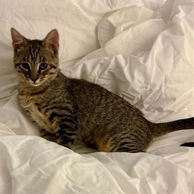 Photo of Minie