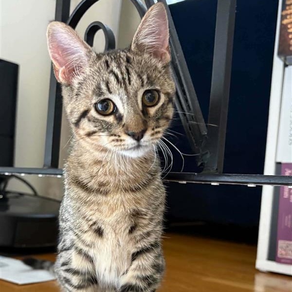 Photo of Minie