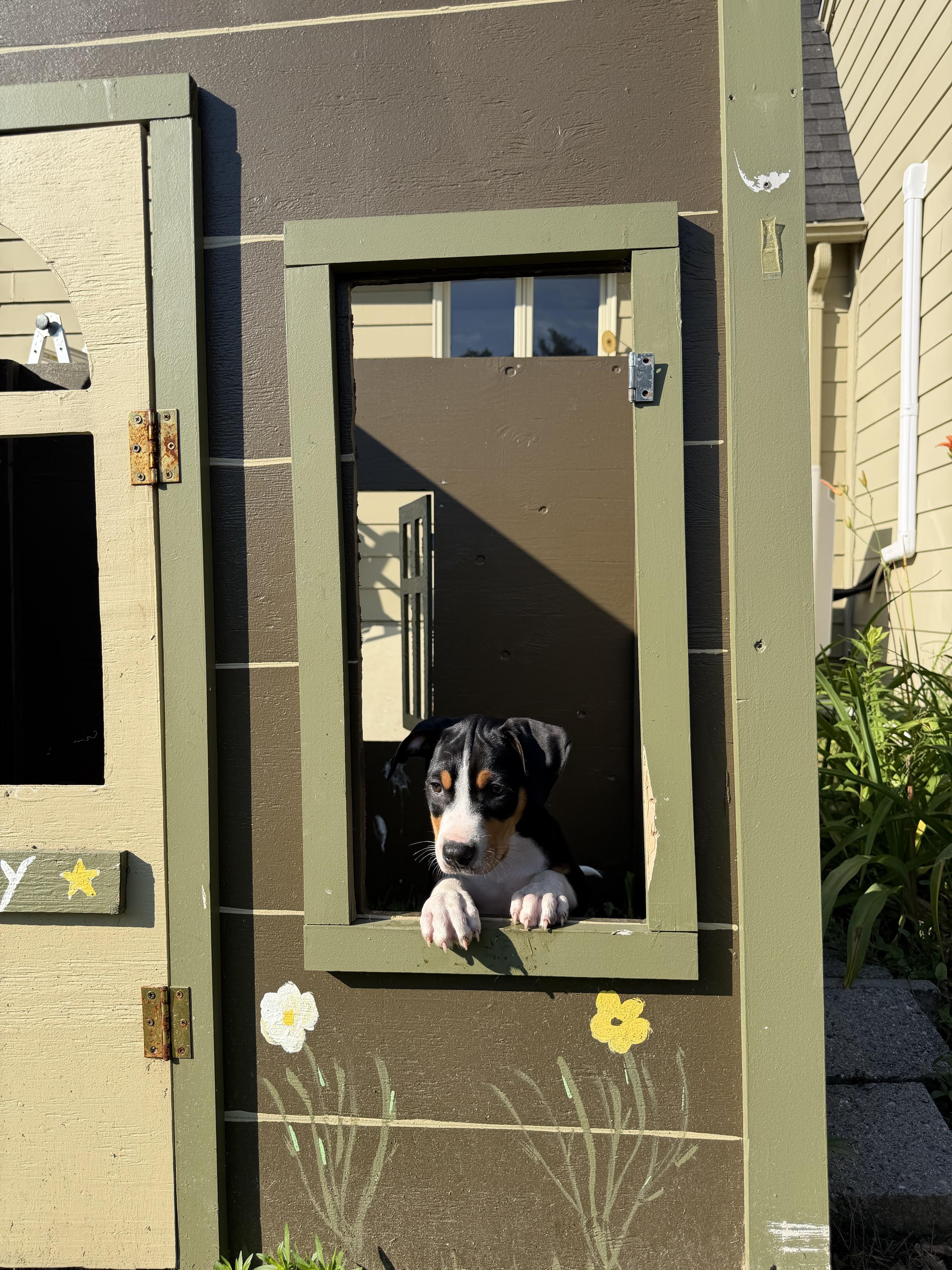 Photo of Ruckus