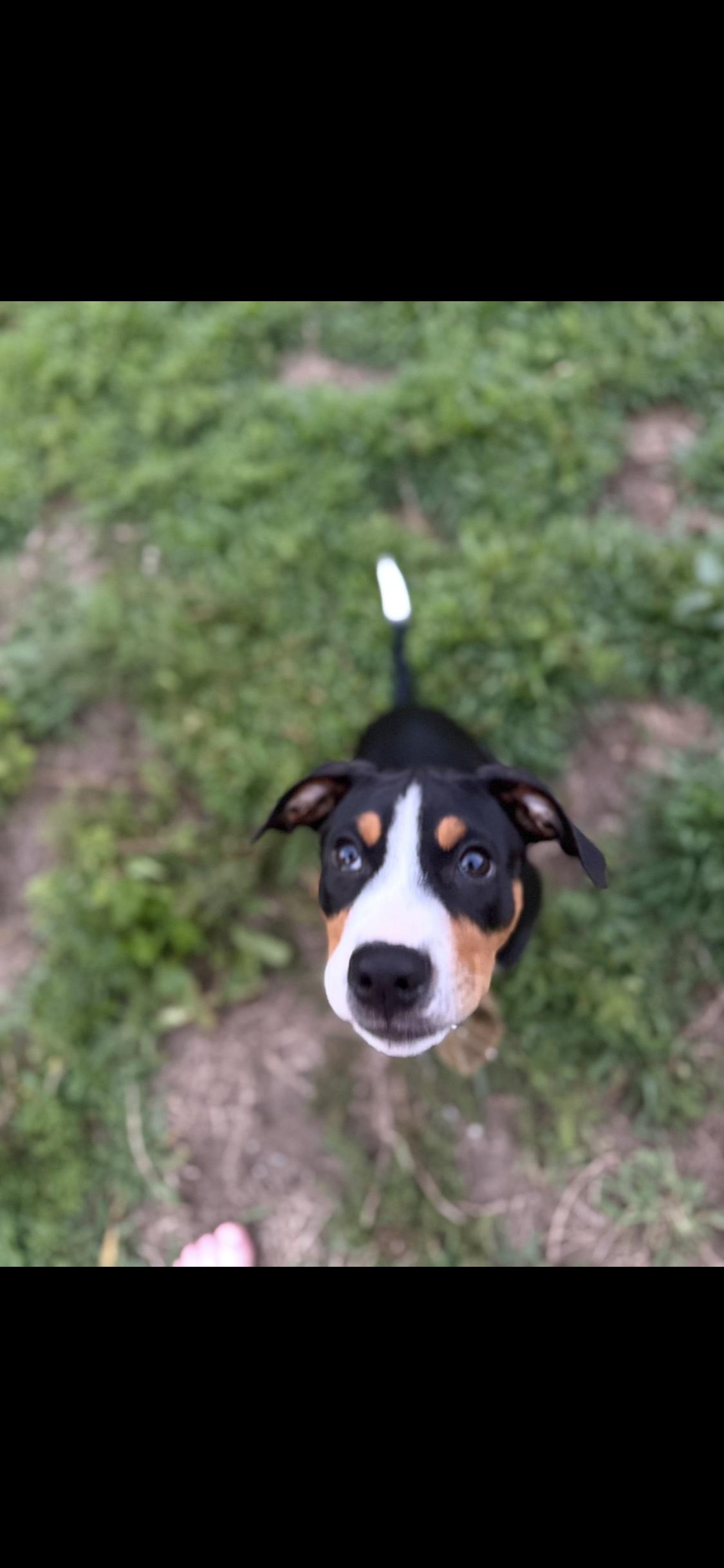 Photo of Ruckus