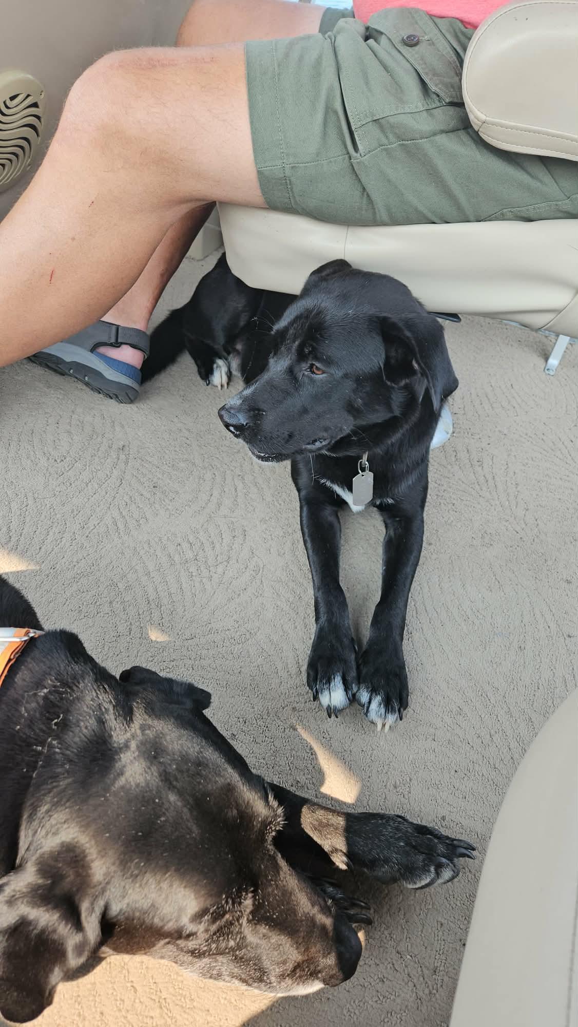 Photo of Chase
