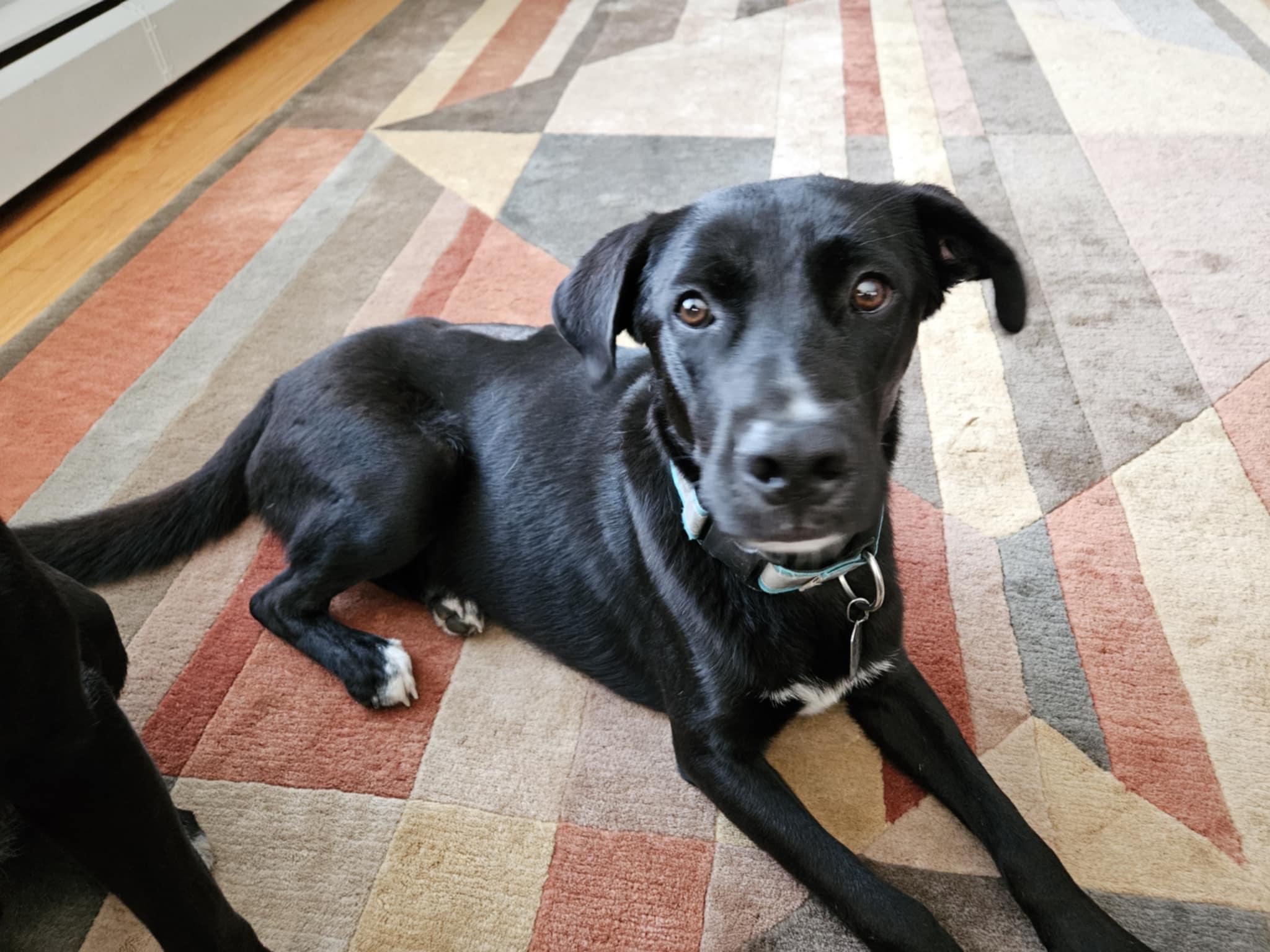 Photo of Chase