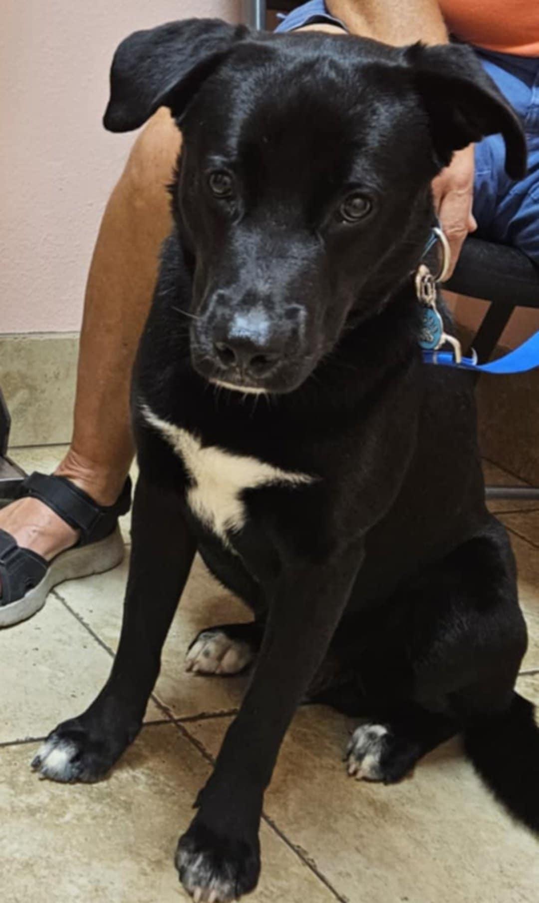 Photo of Chase