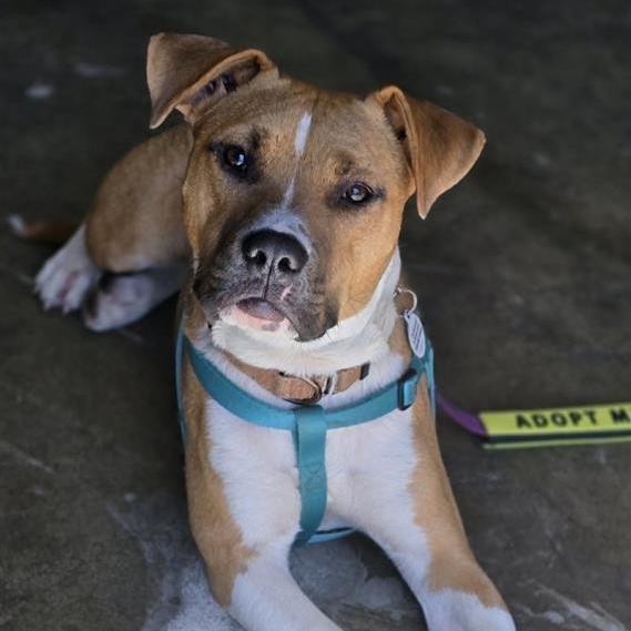 Photo of Sugar