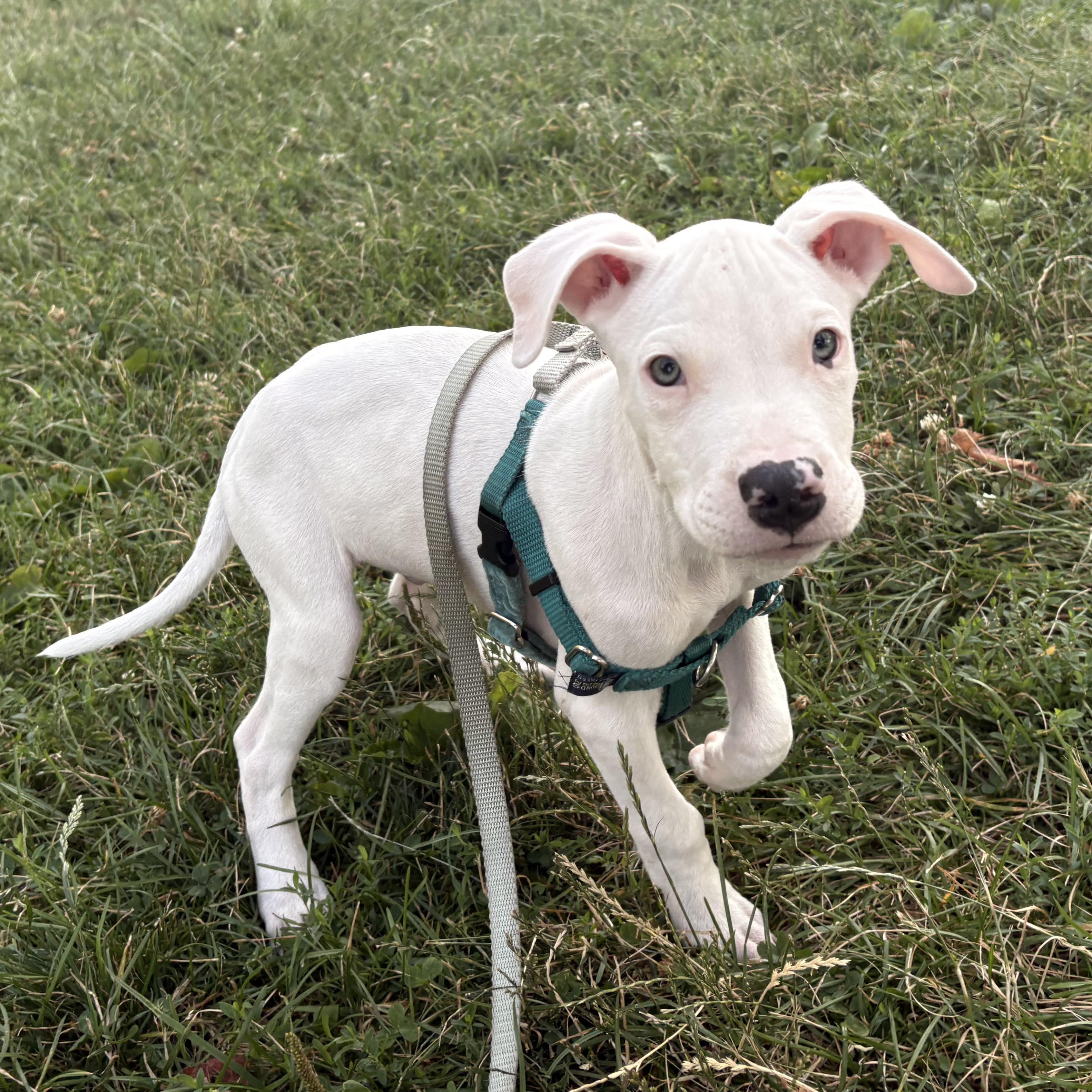 Photo of Spam