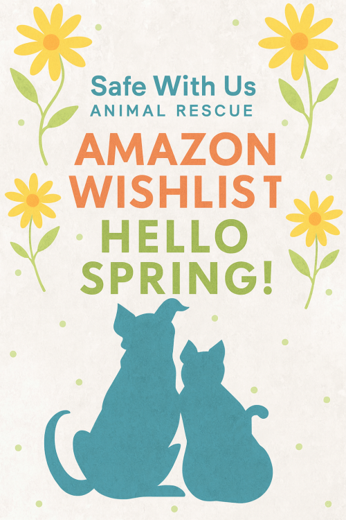 BCO.02e2f9e5-b475-4d51-9bac-817bff8c9bfb