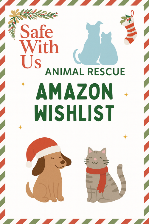 Copilot_20251202_084353